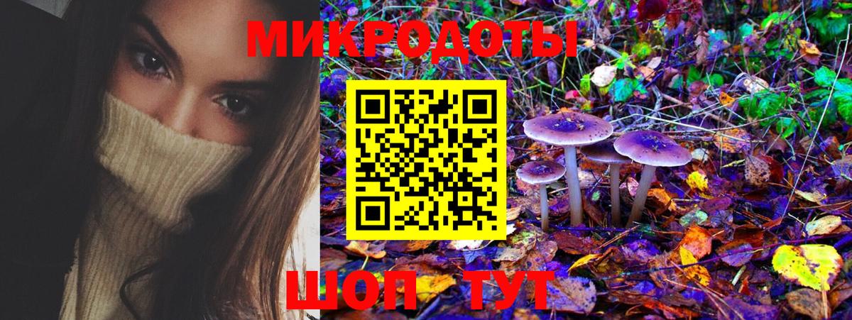 Псилоцибиновые грибы MAGIC MUSHROOMS Кизляр