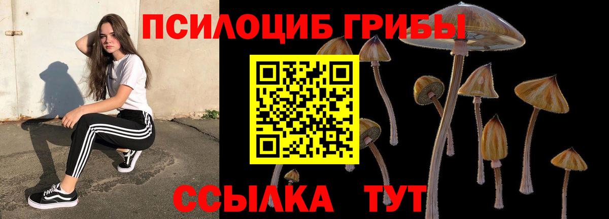 Галлюциногенные грибы Cubensis  Вход с VPN  Галлюциногенные грибы прущие грибы  Кизляр 